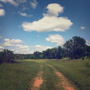 Meet your Posher, Tonya